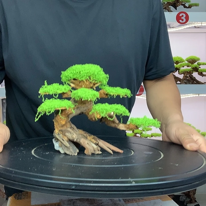 唐***豪莫斯树28哈哈哈哈哈哈哈