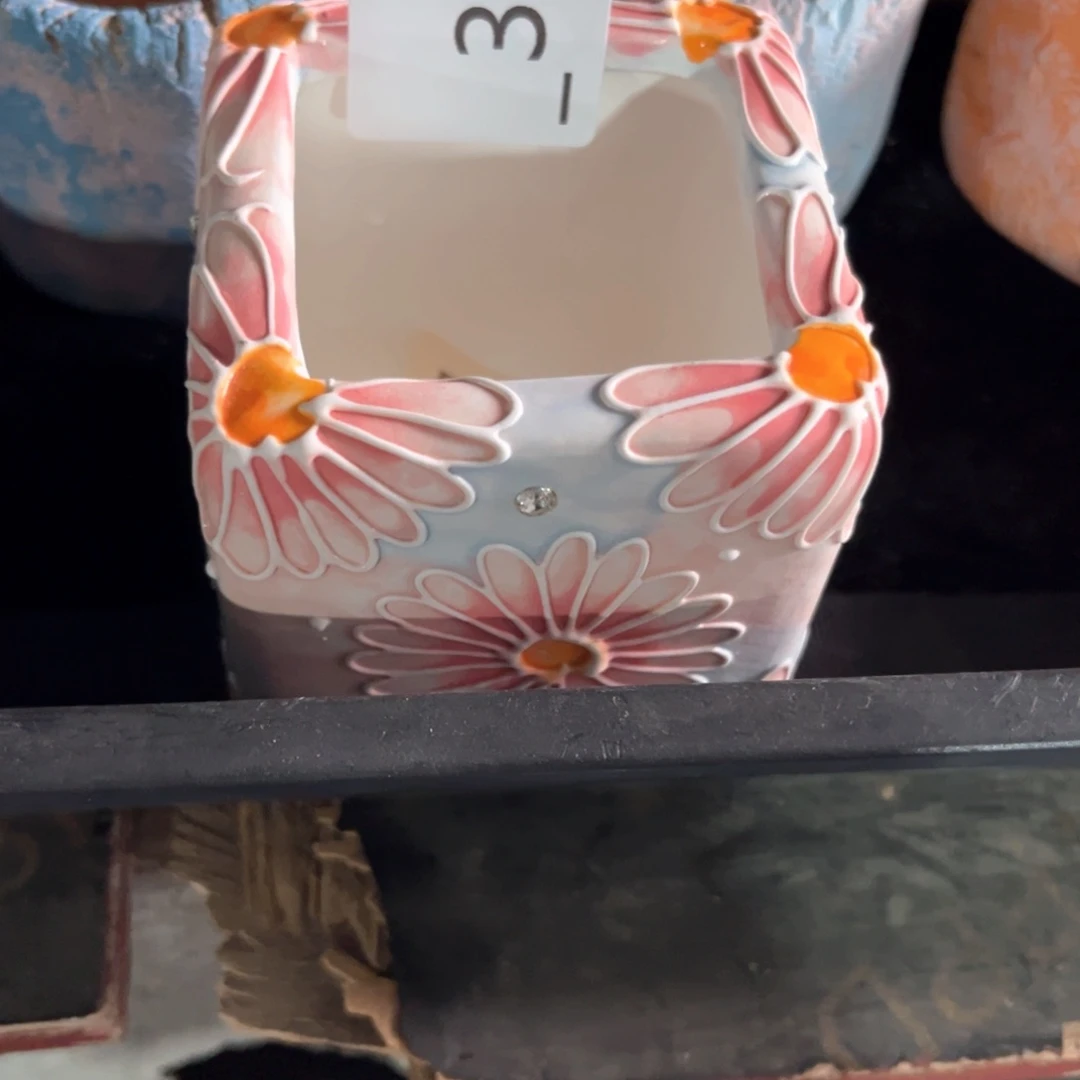 周*函304多肉花盆1个