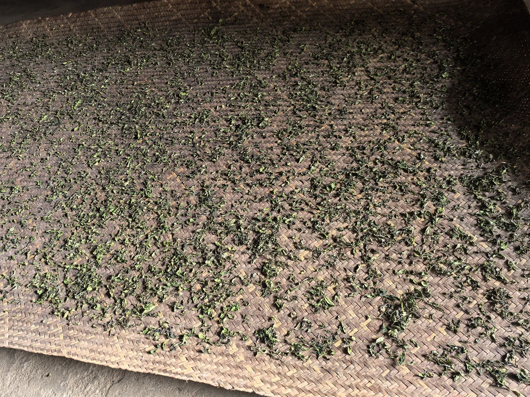 新店福利（限购一单） 2025春茶白茶 50克