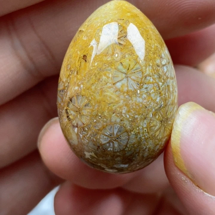 颈饰未镶嵌硅化珊瑚（珊瑚玉）有瑕