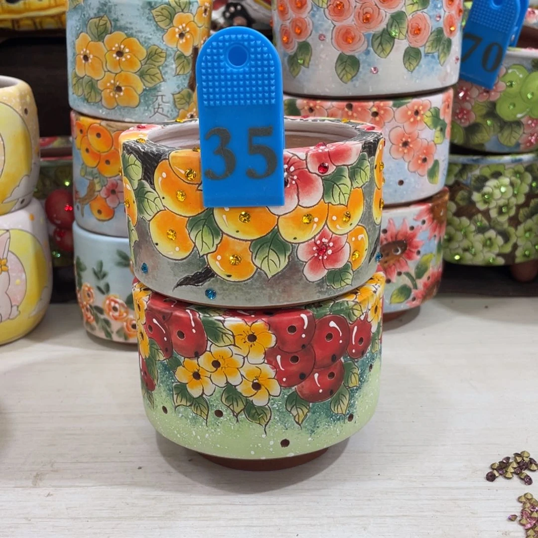 红陶多肉花盆顶冠