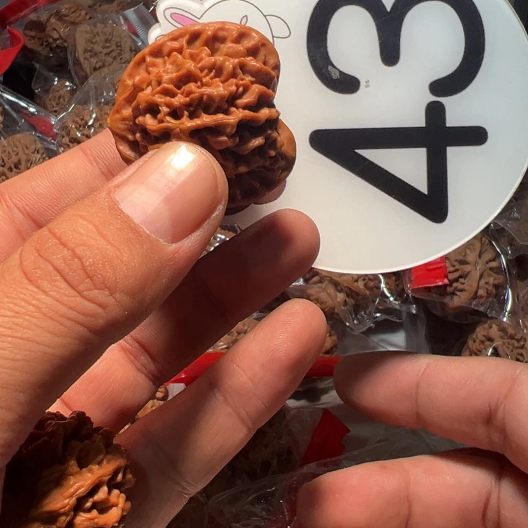 十***学文玩核桃，白色43号