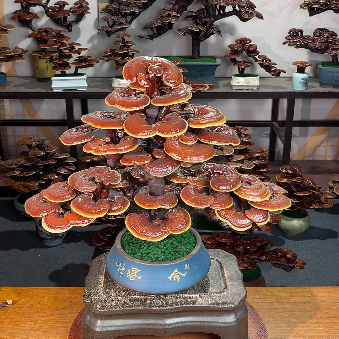 无花朵万事如意8888888888888