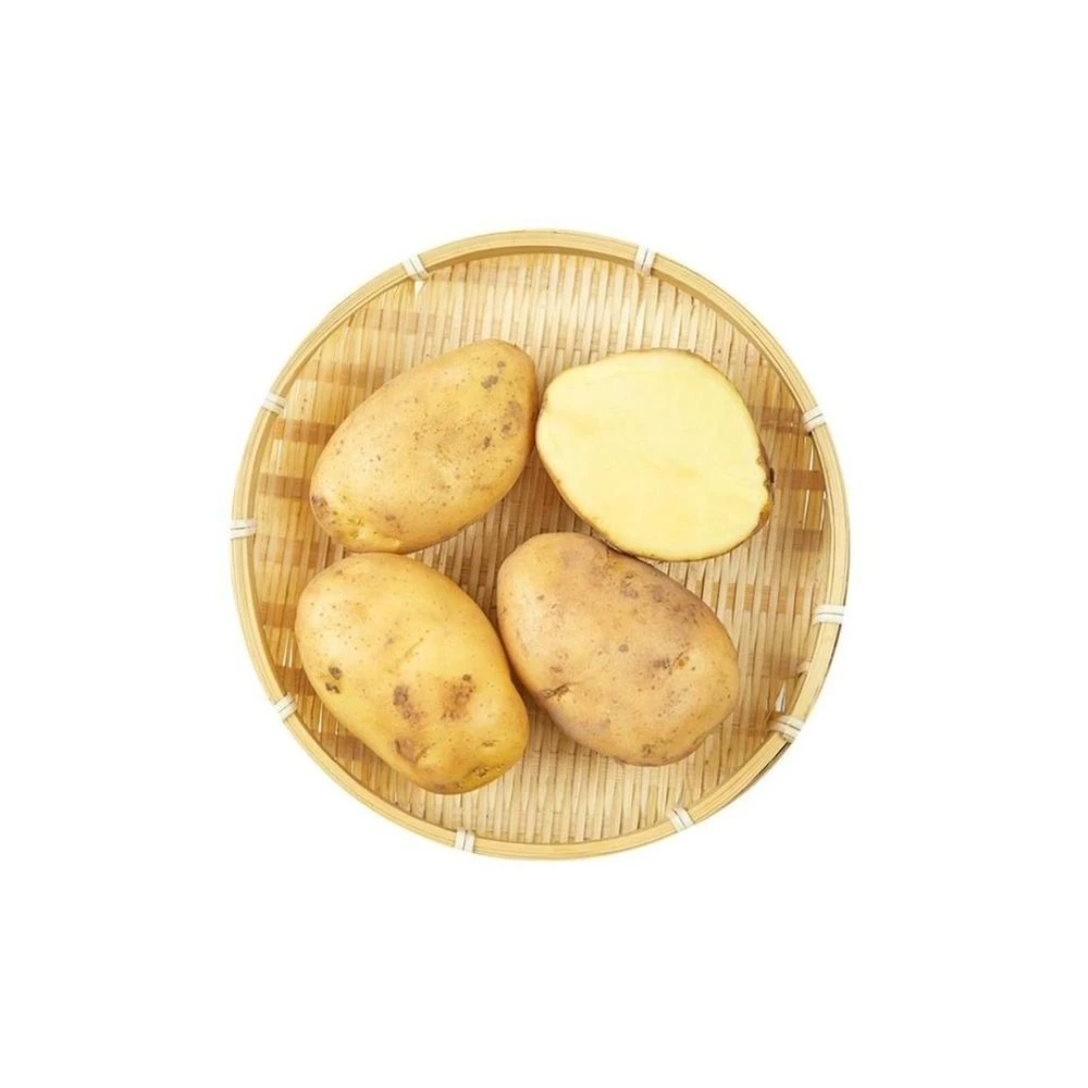 新土豆  430g-470g/份