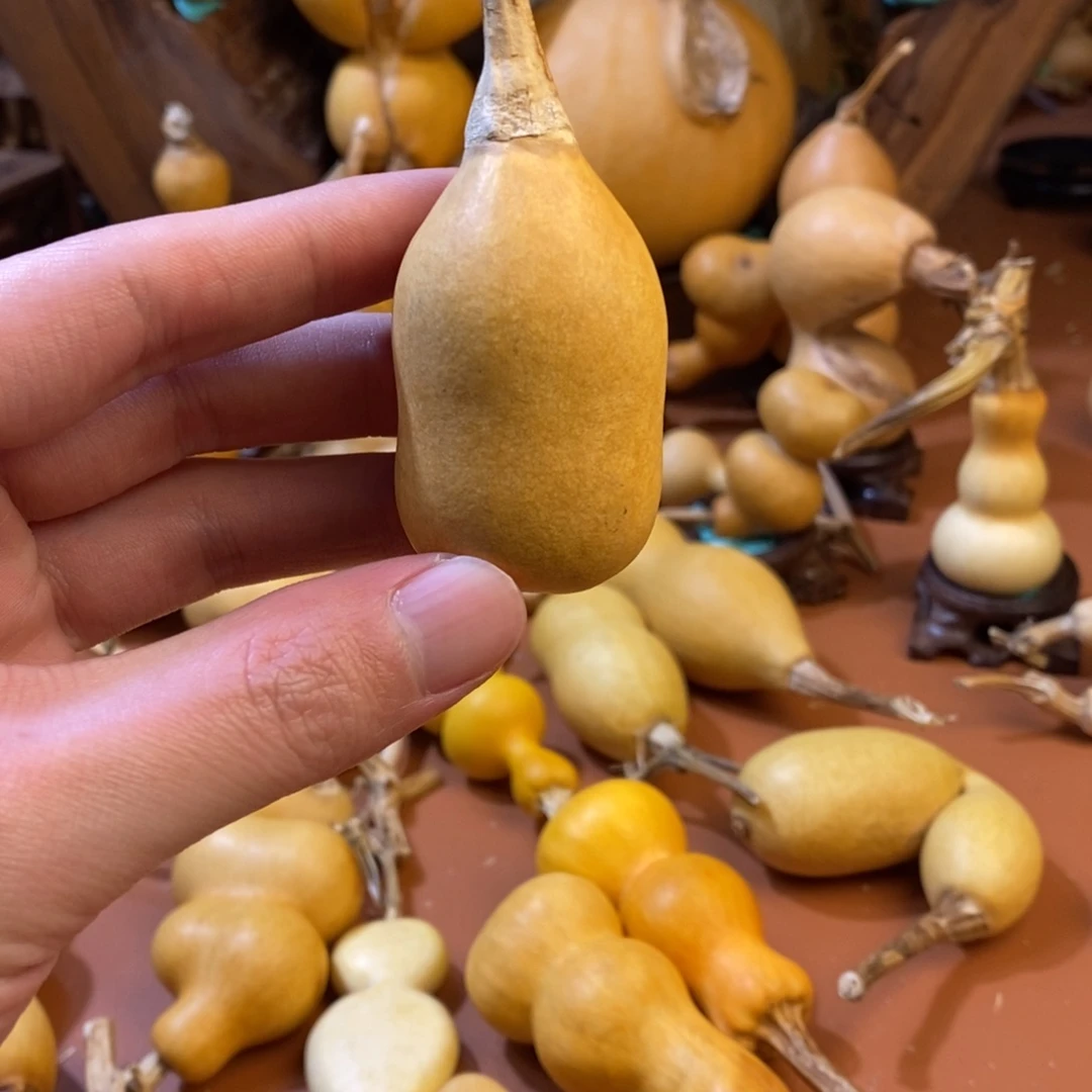 富***艺教练教练咯教练经理