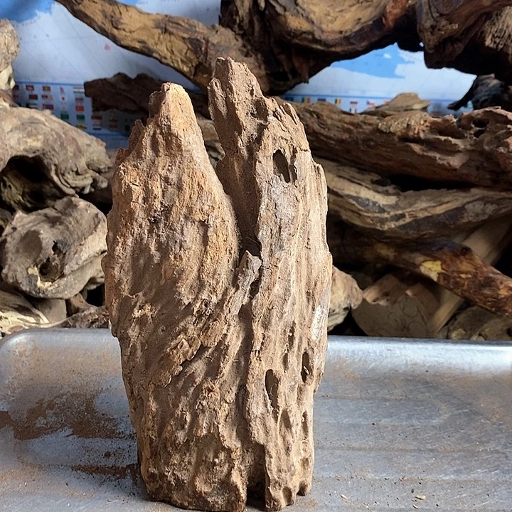 花梨木类陌*海南黄花梨