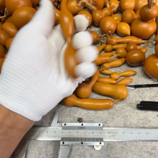 7****琪琪的一把二代，蚂蚁葫芦漆漆的