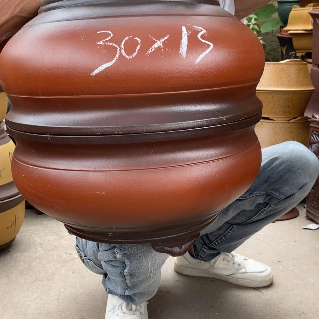 紫砂紫砂紫砂紫砂