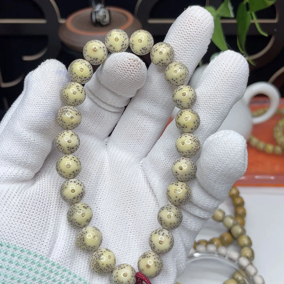 星月菩提吊坠19。10/10黄金瞳圆珠手持