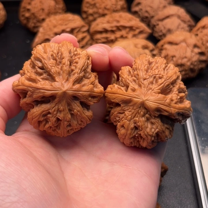 文玩核桃把件2737粗筋45/46/40