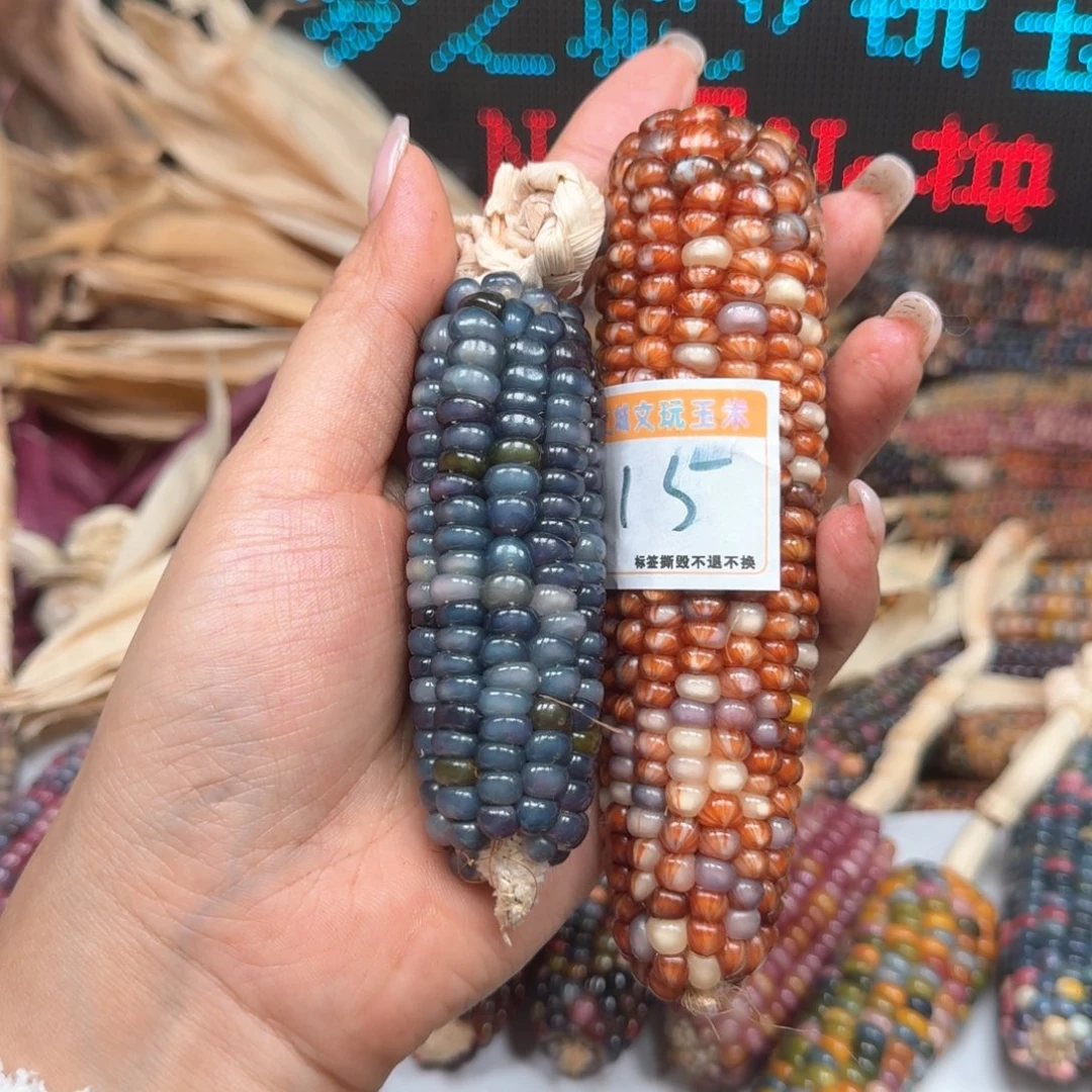 柏香籽/百香籽吊坠琳*