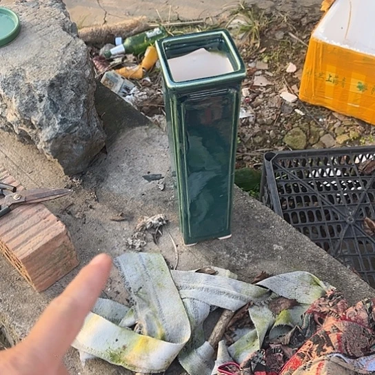 这几句真的好好啊哈哈好好听我要