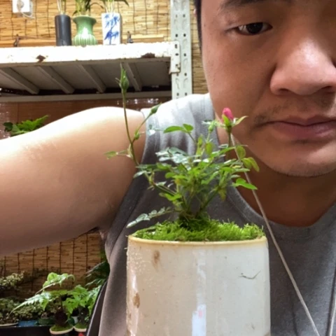 红陶嘻**哈一物一拍所见即所得9