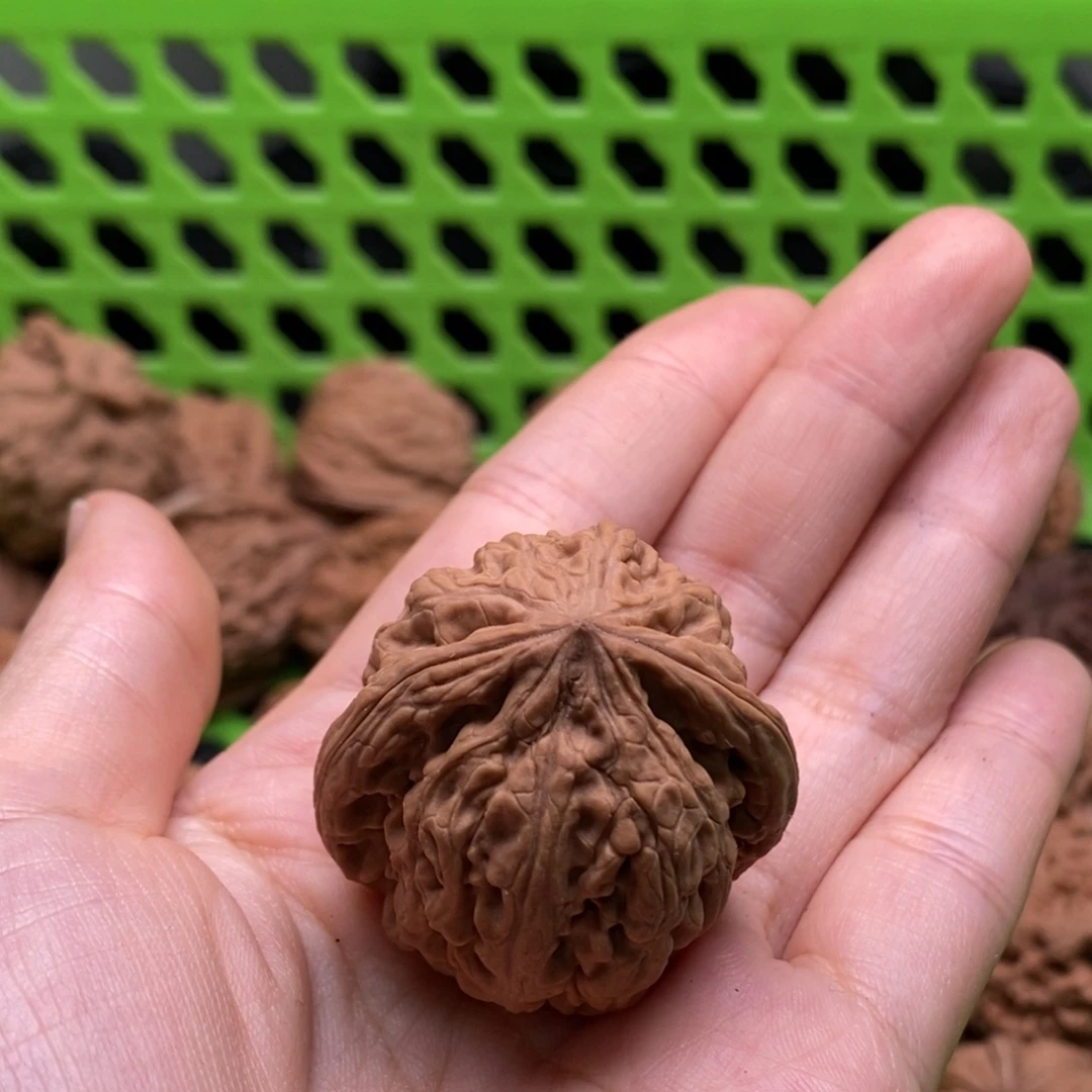 飞***觉核桃定制商品不退不换