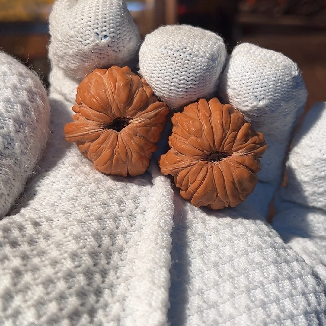 文玩核桃把件天下第一楼28.5