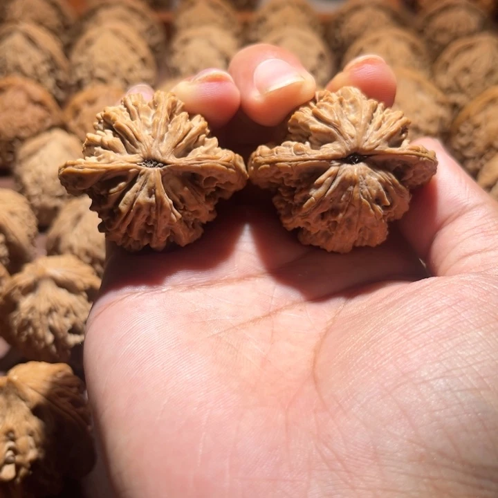 玩***核桃手串/手链虎头41尺寸