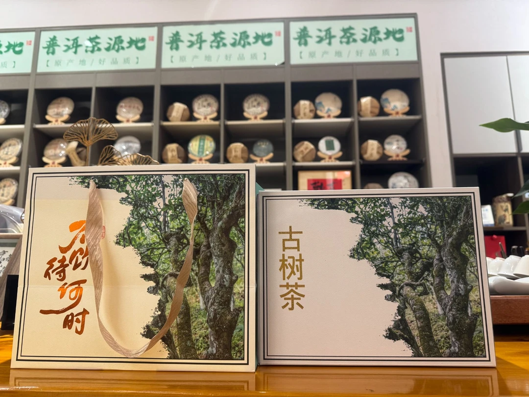 普洱古树茶2024头春礼盒装