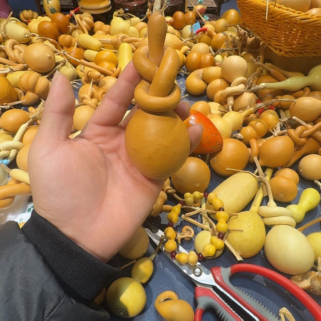 A***干葫芦科动物大白腿鸡翅
