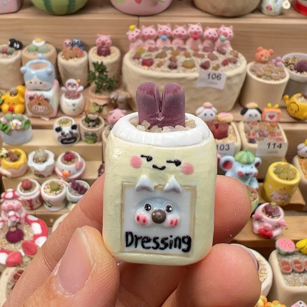 多肉植物149号拇指盆