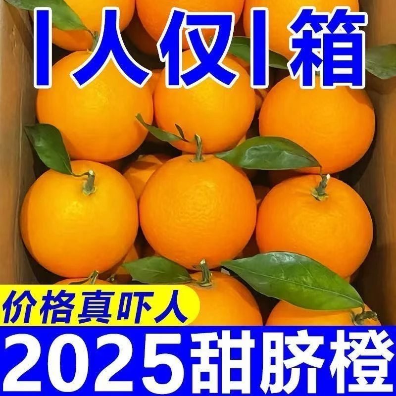 正宗脐橙纽尔荷非江西赣南脐橙现摘新鲜1-5-9斤水果产地直发多汁