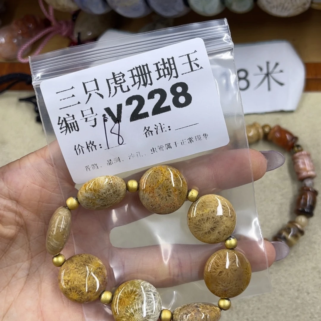 河***羊硅化珊瑚（珊瑚玉）未镶嵌h