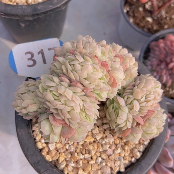 健健康康平平安安