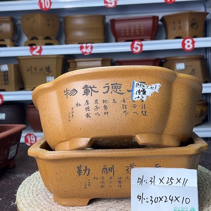 紫砂花盆蛇年大吉