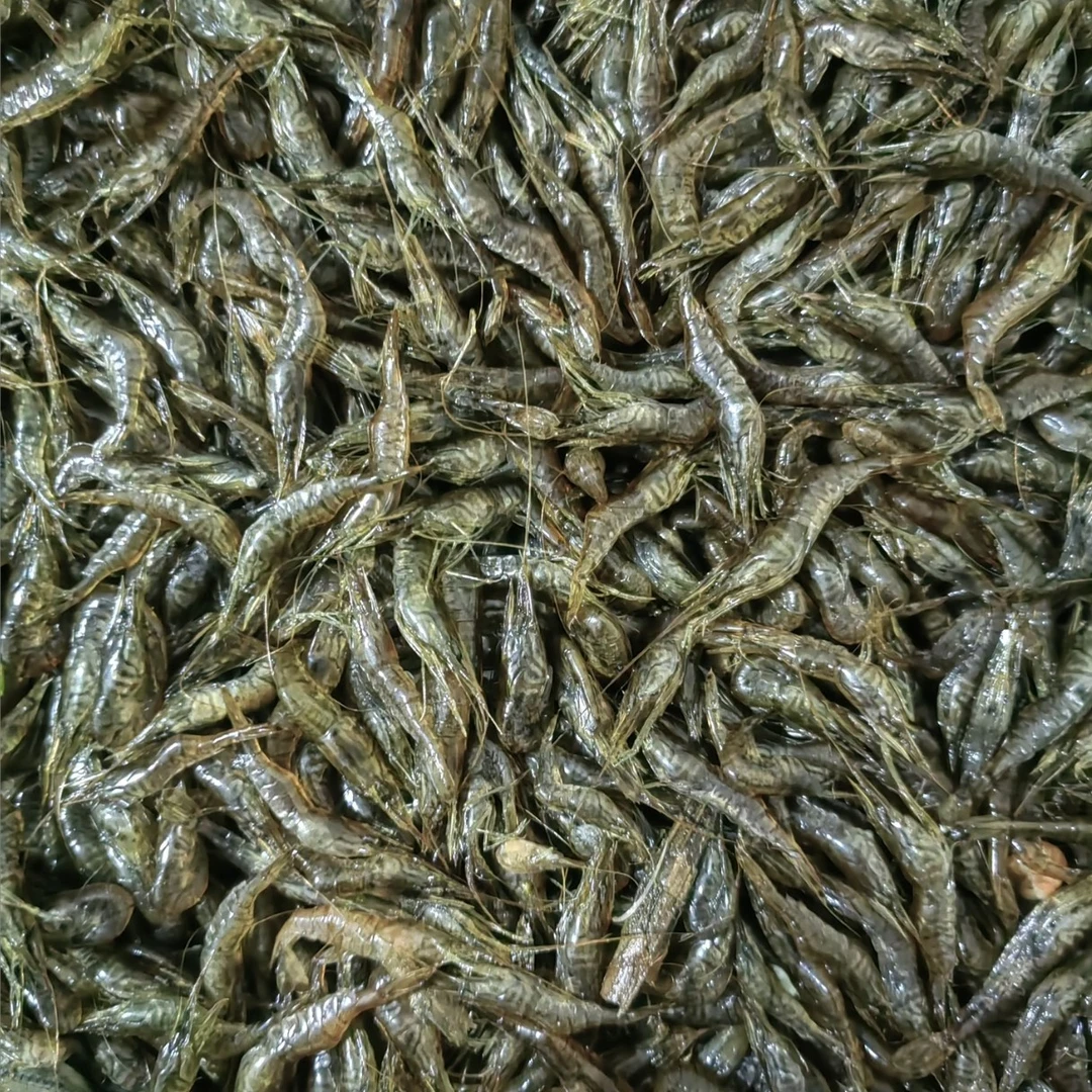 （速冻空运发货）纯野生小草虾3斤