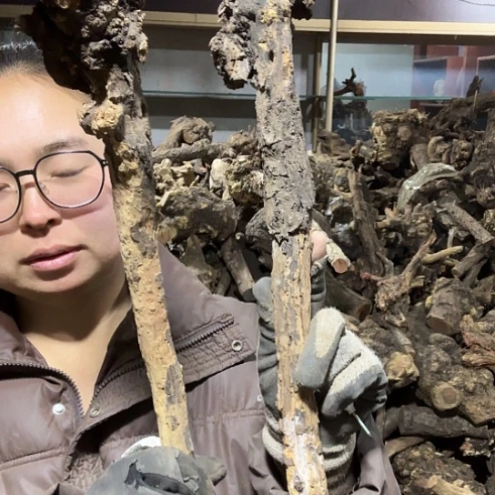 香榧木该****！火琉璃的毛料摆件