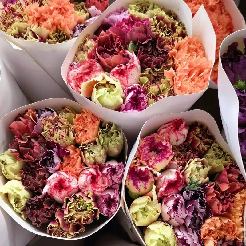 【秒杀特价】【混色康乃馨20支】好养花期长 任意两件发顺丰京东