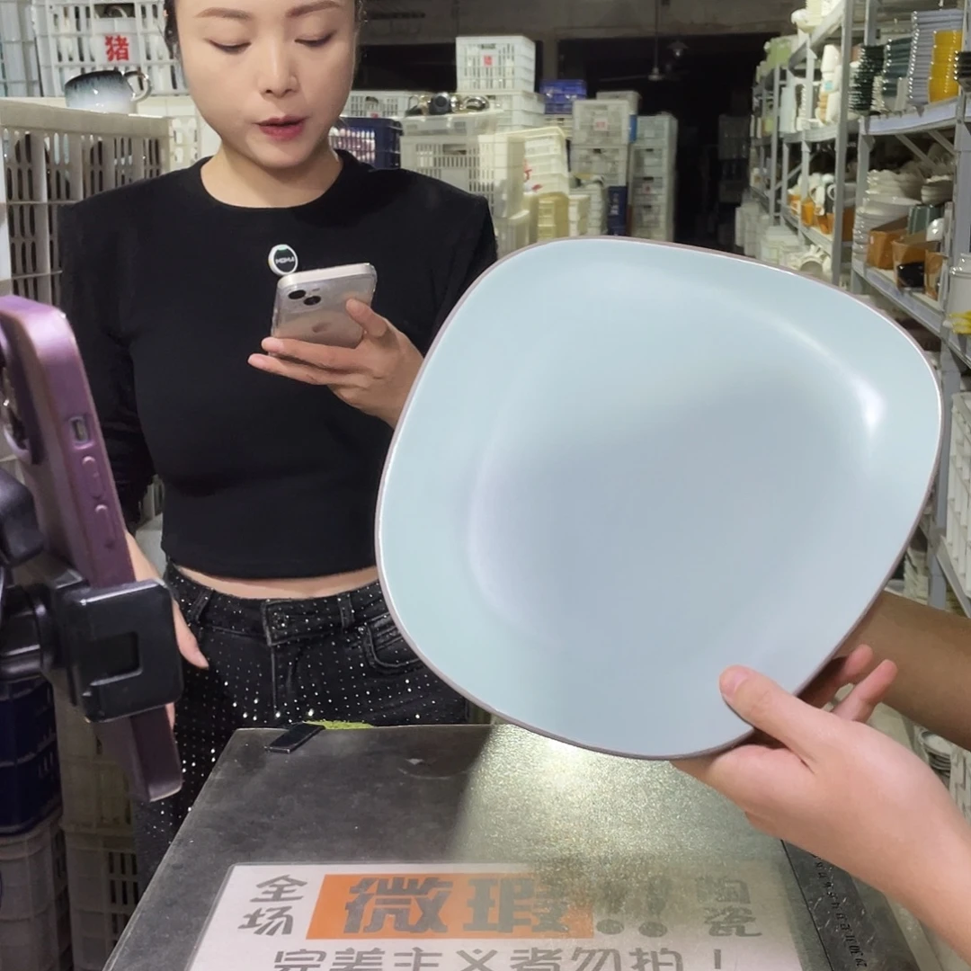 瓷片480          2个