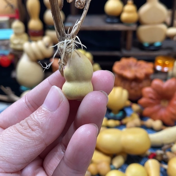 ****冲25美好的一天从吃瓜开始啦打