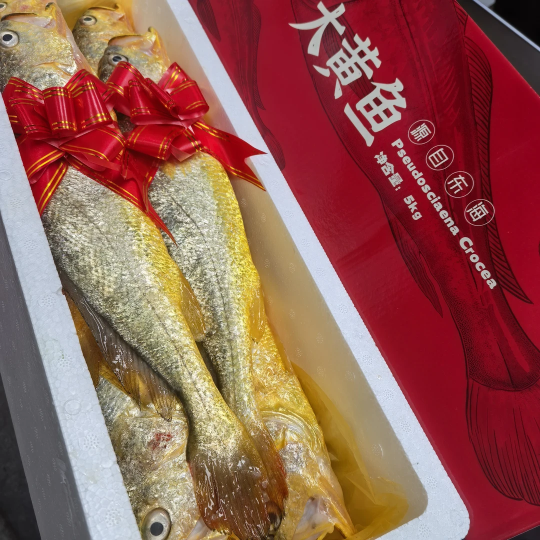 【年货黄鱼大礼包】东海野生海捕顺丰包邮