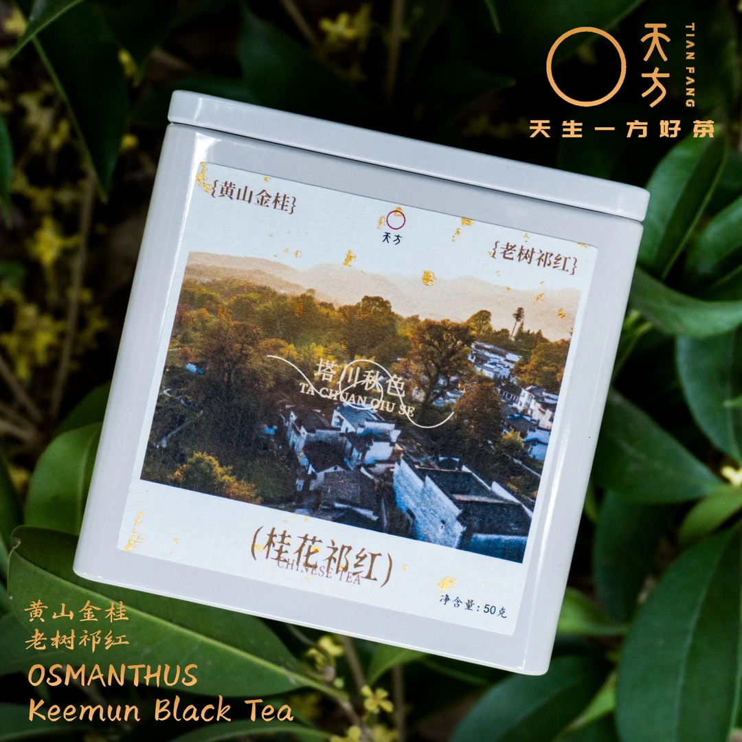 【金桂祁红】2025春茶特级手工高山新茶桂花红茶茶汤色泽花香蜜韵