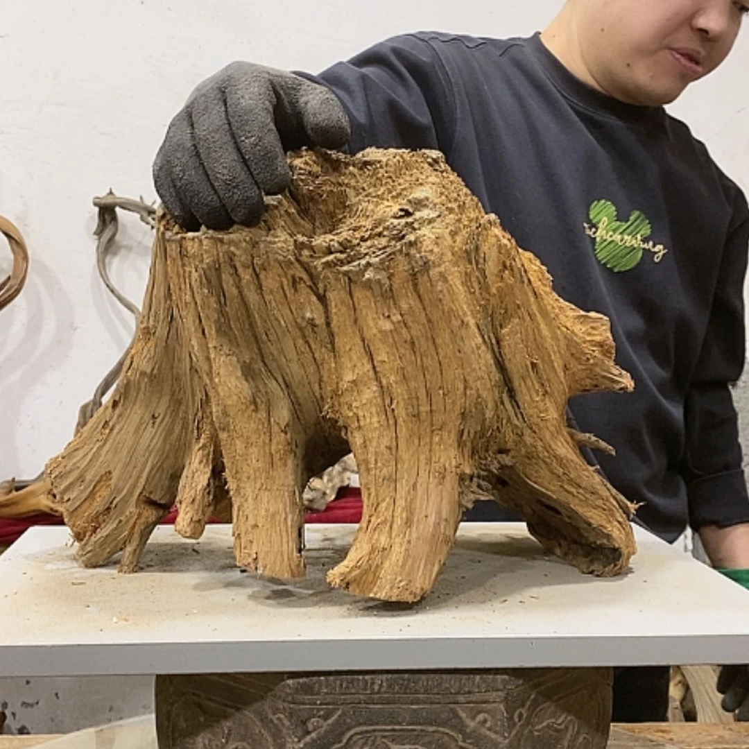 【闪购商品】柏木陈*堂我们都是好孩子