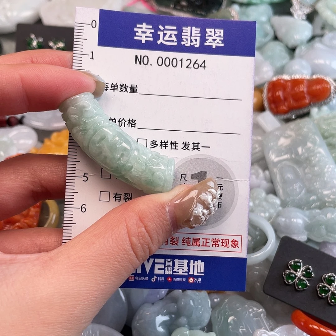 翡翠未镶嵌颈饰1264