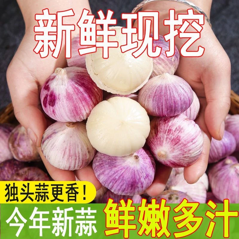 【超低价】正宗云南紫皮独头蒜新鲜现挖湿蒜蔬菜0.5/1/2/3/5斤包邮
