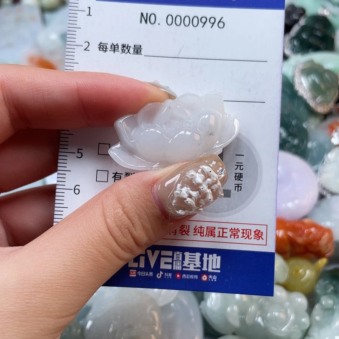 翡翠未镶嵌颈饰996