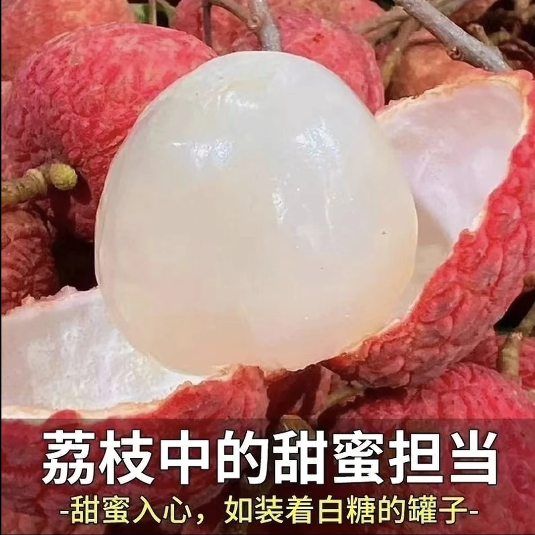 当季现摘白糖罂荔枝 香甜可口 皮薄肉厚 冷链发货