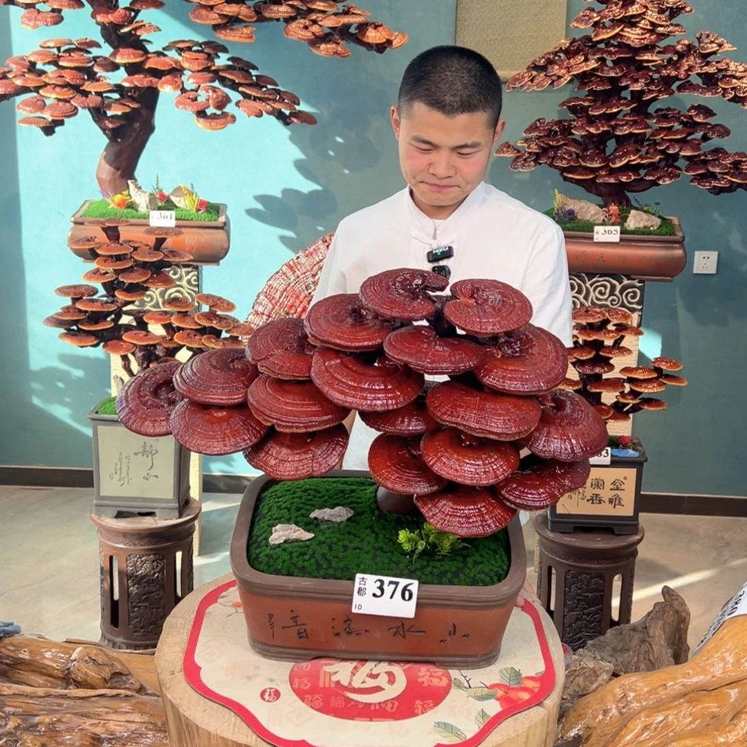 无花朵88888888888