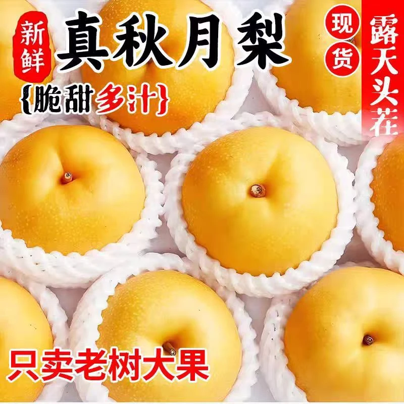 【顺丰京东】10斤正宗山东秋月梨新鲜应季脆甜多汁送礼水果3-10斤装