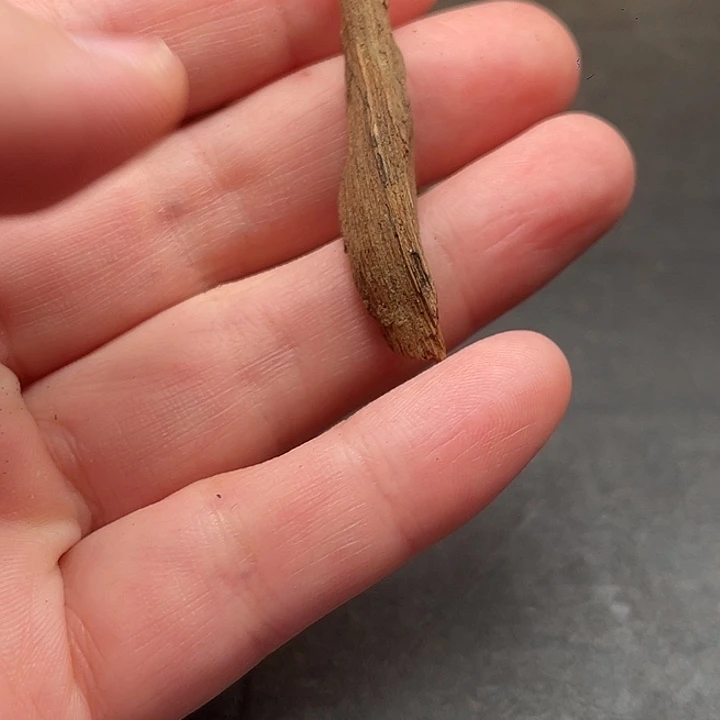沉香碎屑沉香富森红土0.88