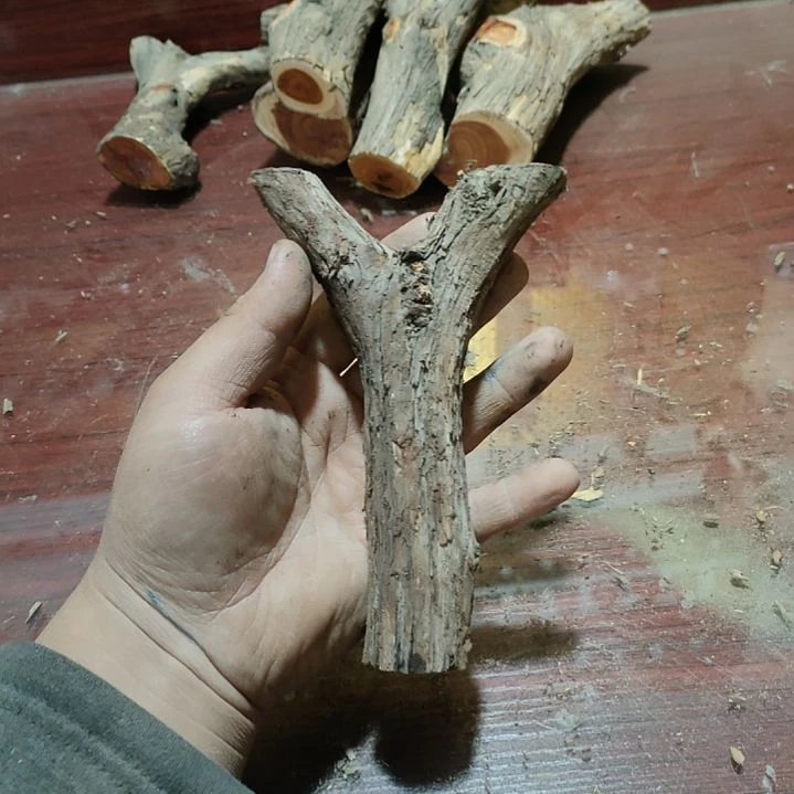 醉***尘大果紫檀（缅甸花梨）