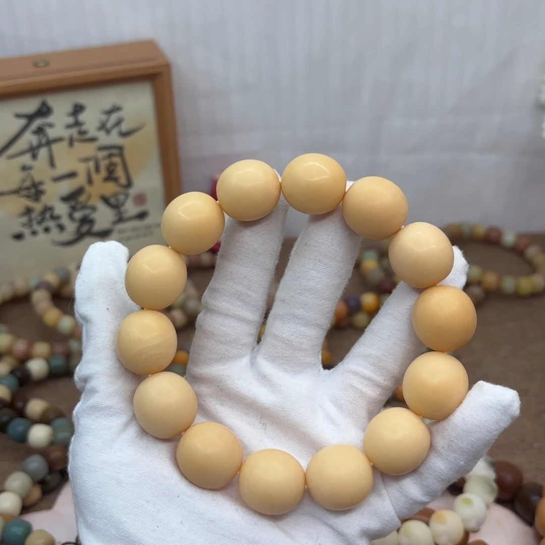 吊坠菩提根/象牙果20干磨瑕疵落地果223