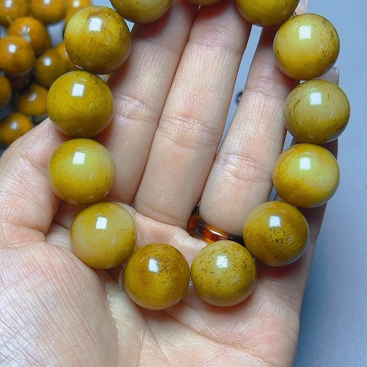 大果紫檀（缅甸花梨）