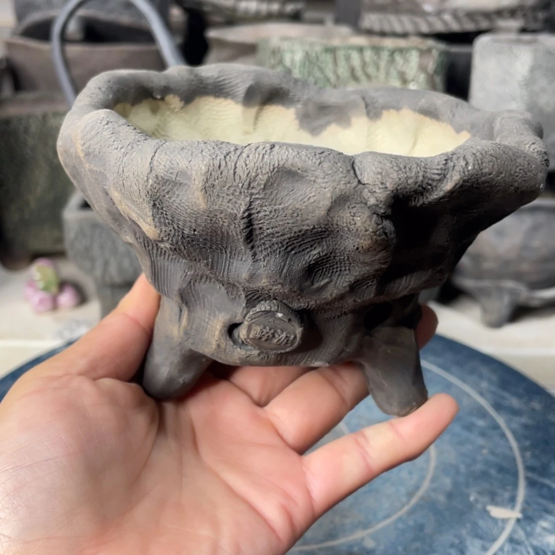 红陶一个人的时候会