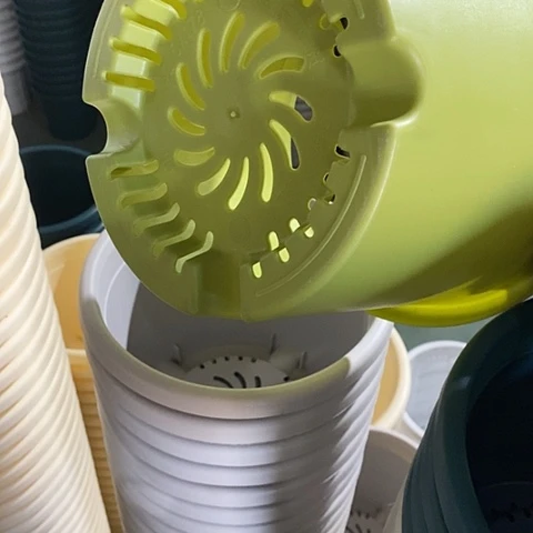 树脂特价3号10个无托果绿