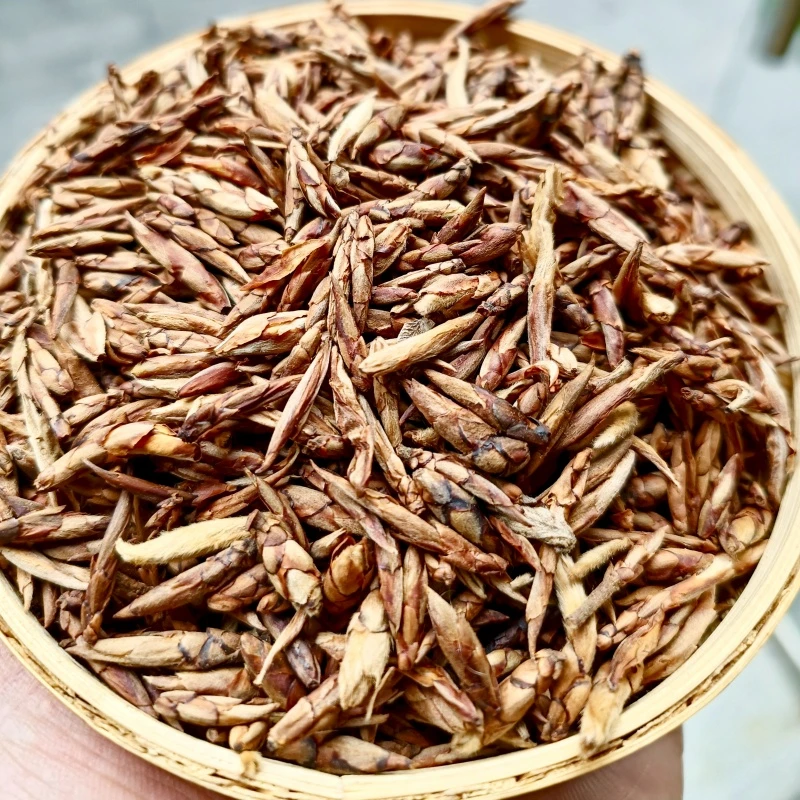 重庆四川特产 散装老鹰茶 5年陈老荫茶红白茶 白领喜爱防暑凉茶