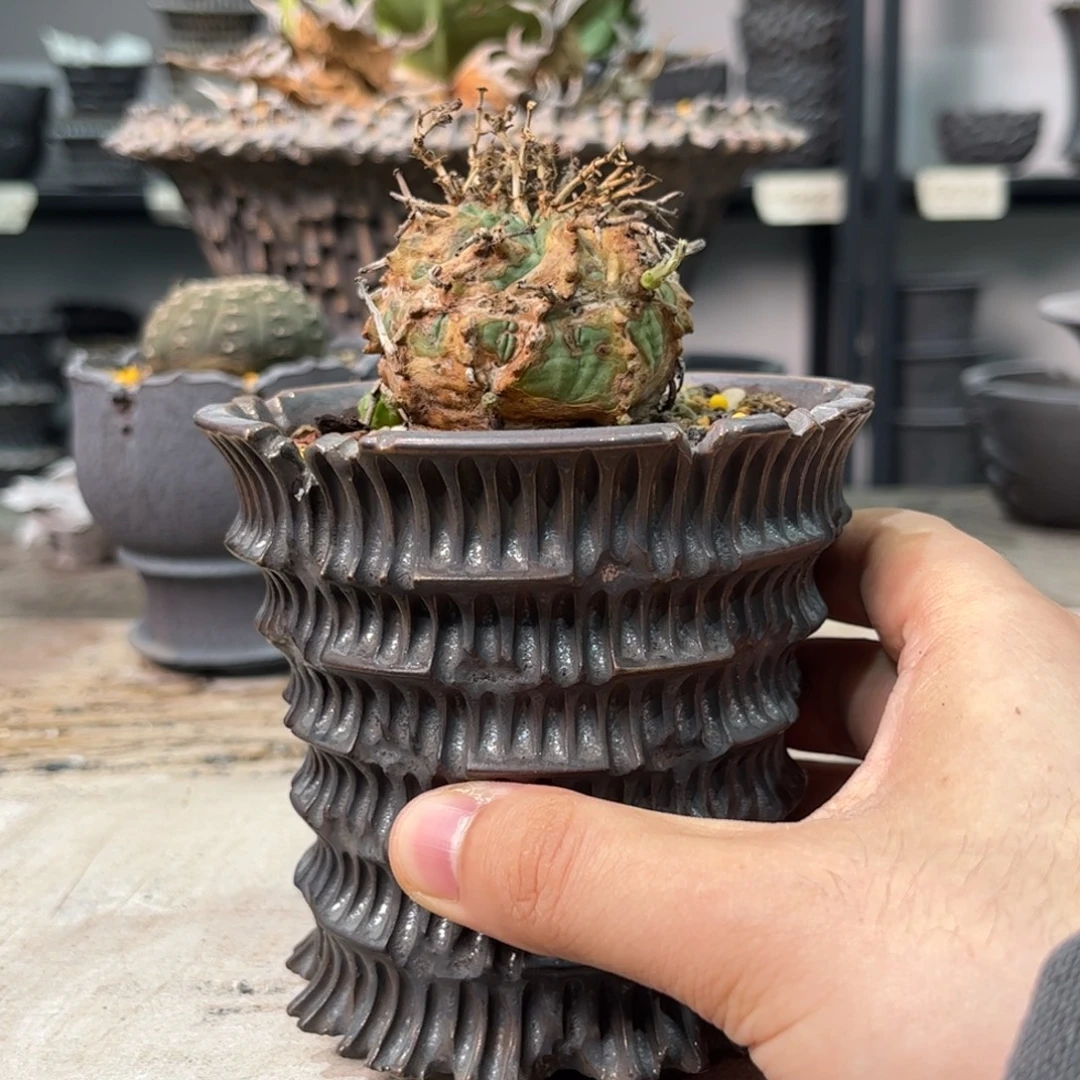 I***a陶吧吧吧吧吧吧球