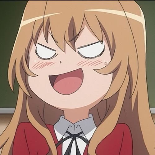 手办专拍（不包运损勿乱拍）